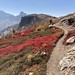 Cutthroat Pass